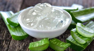 Aloe Vera bitkisi çiçek açar mı, açmaz mı, nasıl yetiştirilir? Aloe Vera çiçeğinin faydaları ve bakımı