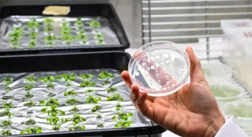 Alper Gezeravcı çalışmalarına devam ediyor: 13.deneye ait bilgiler “Deney Sözlüğü”nde paylaşıldı