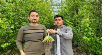 Altını bile sollayıp geçen o ürünün ilk hasatı yapıldı! Kimse bu ürünün yanından geçemeyecek