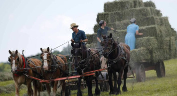 Amişler kimdir, nerede yaşıyor? Amiş yaşam şartları