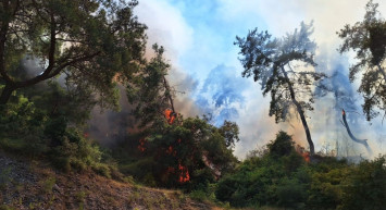 Antalya Manavgat’ta orman yangınları: Ekipler müdahale ediyor