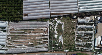 Antalya’da her yer savaş alanına döndü: Hortum felaketi tarım arazilerine zarar verdi!