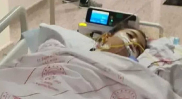 Antalya'da köpeklerden kaçarken kamyon altında kalmıştı: Mahra'dan acı haber geldi! 23 günlük yaşam savaşı sonrasında hayata gözlerini yumdu