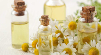 Antidepresan özelliğine sahip papatya yağı faydaları saymakla bitmiyor!  Binbir derde deva papatya yağı kullanım alanları