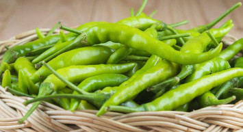 Antioksidan Deposu Samandağ Biberi Kanseri Önlüyor