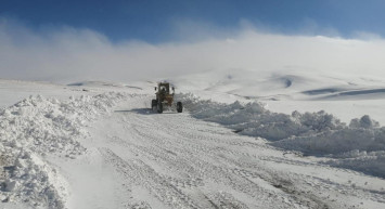 Ardahan'da Etkili Dolu Yağışı: Yollar Beyaza Büründü