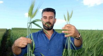 Arkeolojik kazılarda ortaya çıktı! 7 bin yıllık tohumlar ortaya çıktı: Çiftçiler çok umutlu