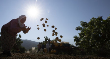 Aşırı sıcaklar alarm veriyor: 1 milyardan fazla kişinin geçimi tehdit altında