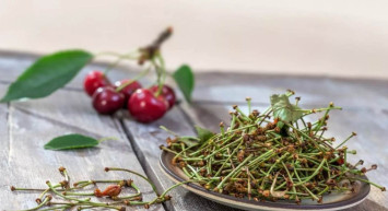 Asırlardır kullanılıyor, faydası saymakla bitmiyor: Kiraz sapı çayı nedir, nasıl hazırlanır? Kiraz sapı çayı faydaları nelerdir?