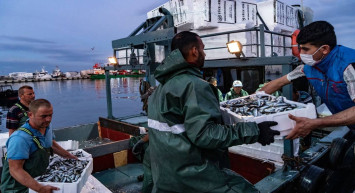Av yasağı sona erdi: Tezgahları şenlendirecek balık belli oldu