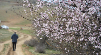 Avrupa Birliği açıkladı: 2024 İlkbaharı tüm zamanların en sıcak ilkbaharı odu