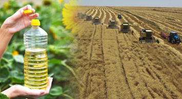 Ayçiçek yağında gelen giden bir daha bu indirimi bulamayacak! Damacana bile ayçiçek yağından daha pahalı