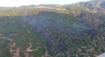 Aydın’da orman yangını: Ekipler geceden beri müdahale ediyor