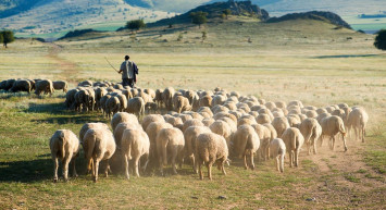 Aylık 30 bin liraya işçi bulamıyorlar: Eskiden o işi yapmak için yalvarıyorlardı