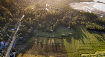 Aylık gıda masrafına tarla alacaksınız! 81 ilde geçerli olacak