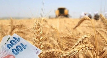 Bakan Kirişçi açıkladı: Ödemeler bugünden itibaren yapılacak! Çiftçi derin bir nefes alacak