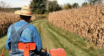Bakan Kirişçi duyurdu! Hesaplarınızı kontrol edin