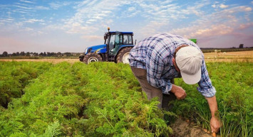 Bakan Kirişci'den çiftçilere müjde: Ödemeler bugün hesaplara yatırılıyor!