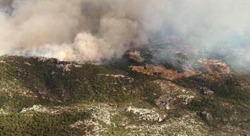 Bakan Vahit Kirişçi'den müjdeli haber! Datça'daki yangın kontrol altına alındı