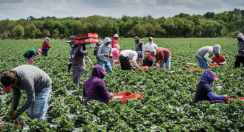 Bakan Yumaklı ‘hayırlı olsun’ diyerek duyurdu: Yeni tarım destekleri yürürlüğe girdi