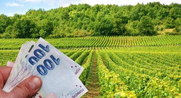 Bakan Yumaklı'dan müjde: Çiftçilere 3 Milyar 495 milyon lira tarımsal destek ödemesi yapıldı!