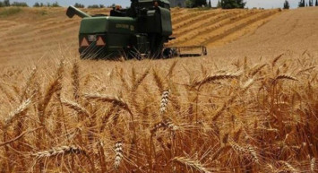 Bakanlık Duyurdu! Devletten Üreticilere 210 milyon 44 bin 627 lira Dev Destek Geldi