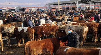 Bakanlık kırmızı alarm verdi: Ülke genelinde önlemler alındı