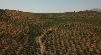 Bakanlık tarafından Çölleşme ve Erozyonla Mücadele için mega proje: 8 ana su havzasında 19 proje başlatıldı