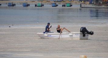 Bakanlıktan Açıklama Geldi! Müsilajın Balık ve Midyeye Etkisi Var mı?
