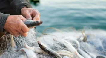 Balık avı yasağı ne zaman başlıyor? Balık avı yasağı tarihleri 2022