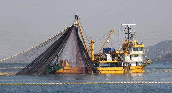 Balıkçılıkta yeni dönem başlıyor: Resmi Gazete’de yayımlandı