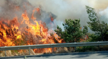 Balıkesir yanıyor! Orman yangınları korkutmaya başladı! Aman dikkat
