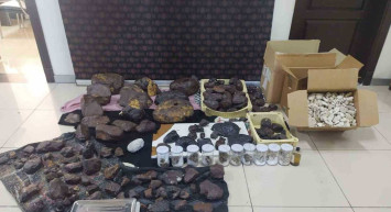 Balina kusmuğu nedir, nerelerde kullanılır? Amber ne işe yarar ve neden pahalı?