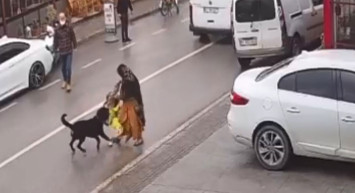 Başıboş bırakılan köpek kadının kucağından çocuğunu düşürdü... O anlar kameraya böyle yansıdı