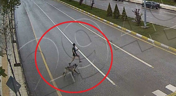 Başıboş köpek terörü! Çorumda köpekten kaçan çocuk ağır yaralanmıştı: O anlar kameralara yansıdı