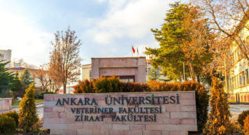 Başvuru tarihleri ve şartlar açıklandı: 1000’e yakın personel alınacak