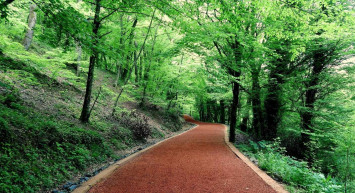 Belgrad Ormanı giriş ücreti ne kadar? 2022 Belgrad Ormanı araç giriş ücret bilgiler