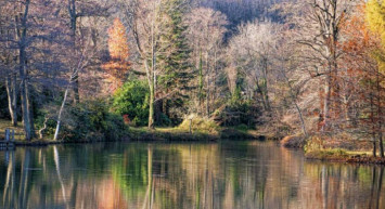 Belgrad Ormanı giriş ücretleri ne kadar? Belgrad Ormanı giriş ücretlerine zam mı geldi, girişler ne kadar oldu, kaç TL?