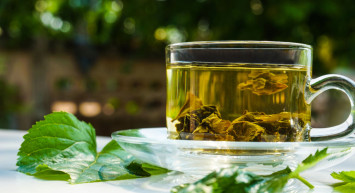 Beyaz dut yaprağı çayı zayıflatır mı? İşte dut yaprağının binbir derde deva faydaları