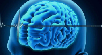 Beyin ölümü gerçekleşmesi ne demek? Beyin ölümü gerçekleşince neler olur? Beyin ölümünde iyileşme oluyor mu?