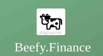BIFI coin nedir? Beefy Finance coin projesi ve yol haritası