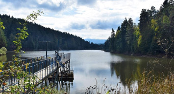 Bilecik'teki çiftçilerin yüzü gülüyor: Tarımsal sulamada kullanılan baraj ve göletlerin hepsi doldu!