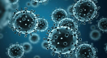 Bilim insanlarından endişelendiren açıklama: O virüs ilk kez insanda görüldü