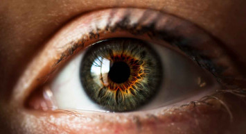 Bilim insanlarından tartışmalı deney: Ölümü tersine çevirdiler!