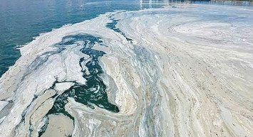 Bilim insanlarının yürüttüğü çalışma sonuçlandı: Marmara Denizi'nde müsilaj tehlikesinden başa bir risk daha bulunuyor!