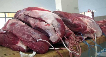 Bir hayvandan ne kadar antrikot-bonfile-sokum çıkar?