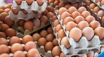 Bir koli yumurta kaç lira? Yumurtaya zam geldi! İşte yeni zam sonrası bir adet yumurta fiyatı