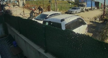 Bir Pitbull Saldırısı Daha: İstanbul'da Esnafın İş Yerinin Önünde Esnaf Köpeği Ağır Yaralandı!