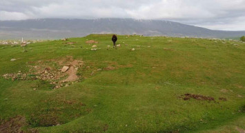 Bitlis'ten ilginç görüntüler: Yaylada mahsur kalan ineği dron çekimi yapan iki arkadaş kurtardı!