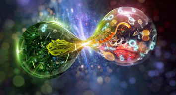 Biyoloji DGS 2022 taban puanları ve bölüm kontenjanları